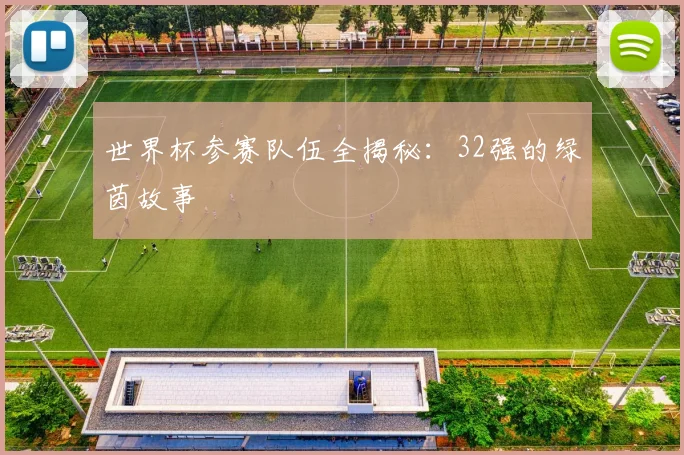 世界杯参赛队伍全揭秘:32强的绿茵故事