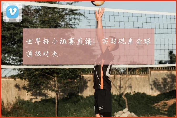 世界杯小组赛直播:实时观看全球顶级对决