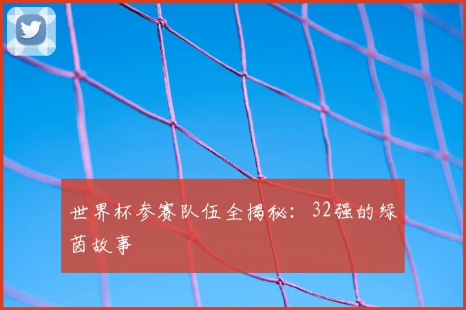 世界杯参赛队伍全揭秘:32强的绿茵故事