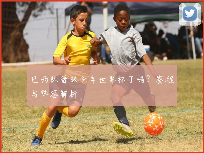 巴西队晋级今年世界杯了吗？赛程与阵容解析