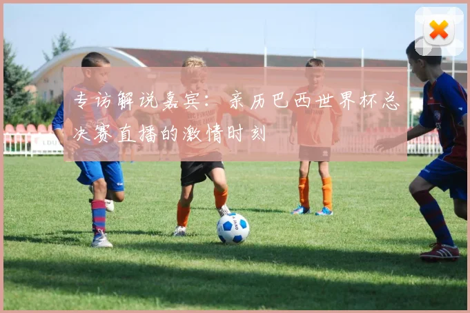 专访解说嘉宾:亲历巴西世界杯总决赛直播的激情时刻