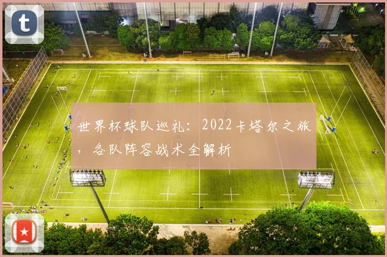 世界杯球队巡礼:2022卡塔尔之旅,各队阵容战术全解析