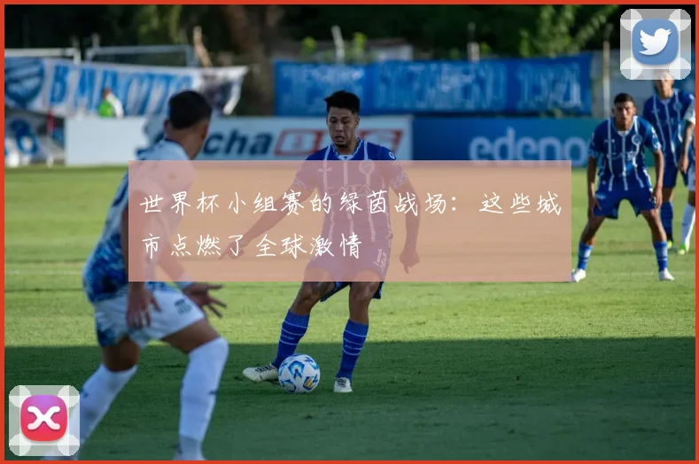 世界杯小组赛的绿茵战场：这些城市点燃了全球激情
