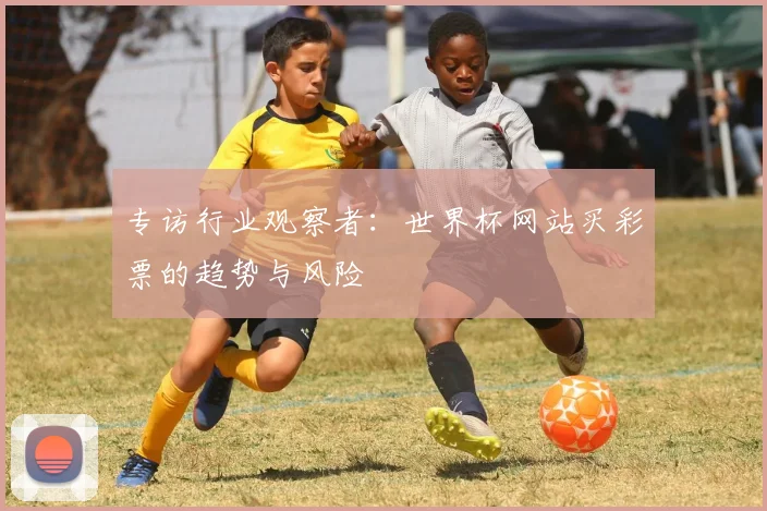 专访行业观察者:世界杯网站买彩票的趋势与风险