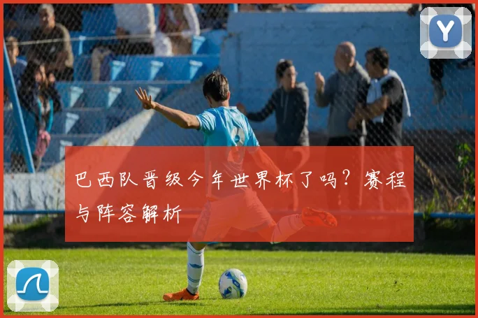 巴西队晋级今年世界杯了吗？赛程与阵容解析