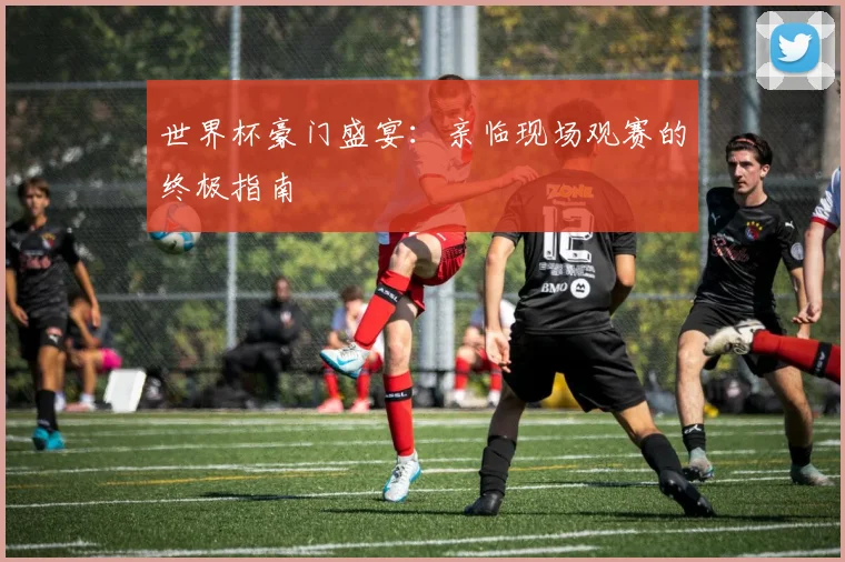 世界杯豪门盛宴:亲临现场观赛的终极指南