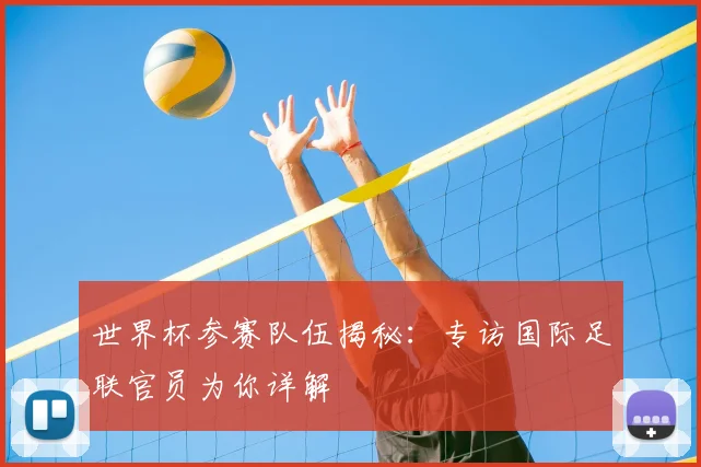 世界杯参赛队伍揭秘:专访国际足联官员为你详解