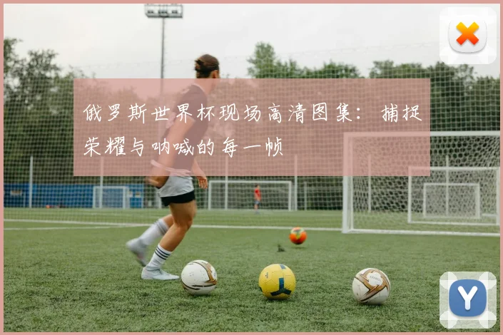 俄罗斯世界杯现场高清图集：捕捉荣耀与呐喊的每一帧