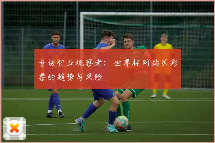 专访行业观察者:世界杯网站买彩票的趋势与风险